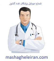 تصویر شماره موبایل پزشکان غدد کشور