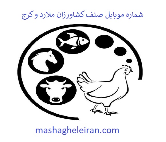 تصویر شماره موبایل صنف کشاورزان ملارد و کرج