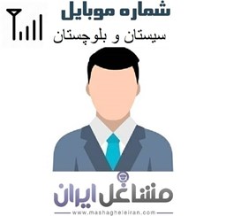 نمایش جزئیات برای مدیران شرکت های استان سیستان و بلوچستان تصویر مدیران شرکت های استان سیستان و بلوچستان