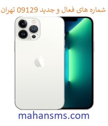 نمایش جزئیات برای شماره های فعال و جدید 09129 تهران تصویر شماره های فعال و جدید 09129 تهران